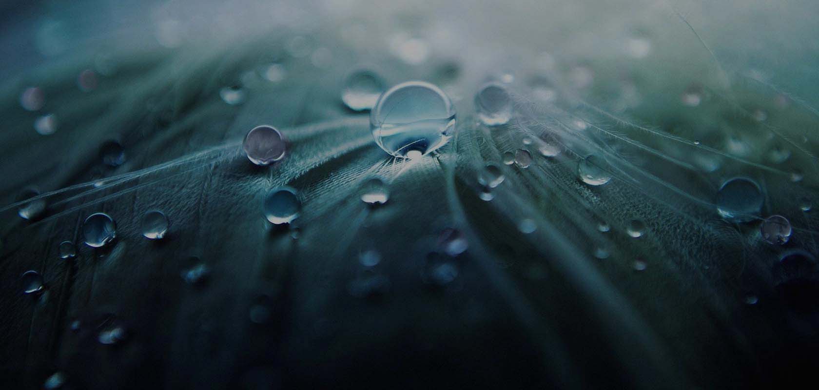 Close-up of water droplets on a surface