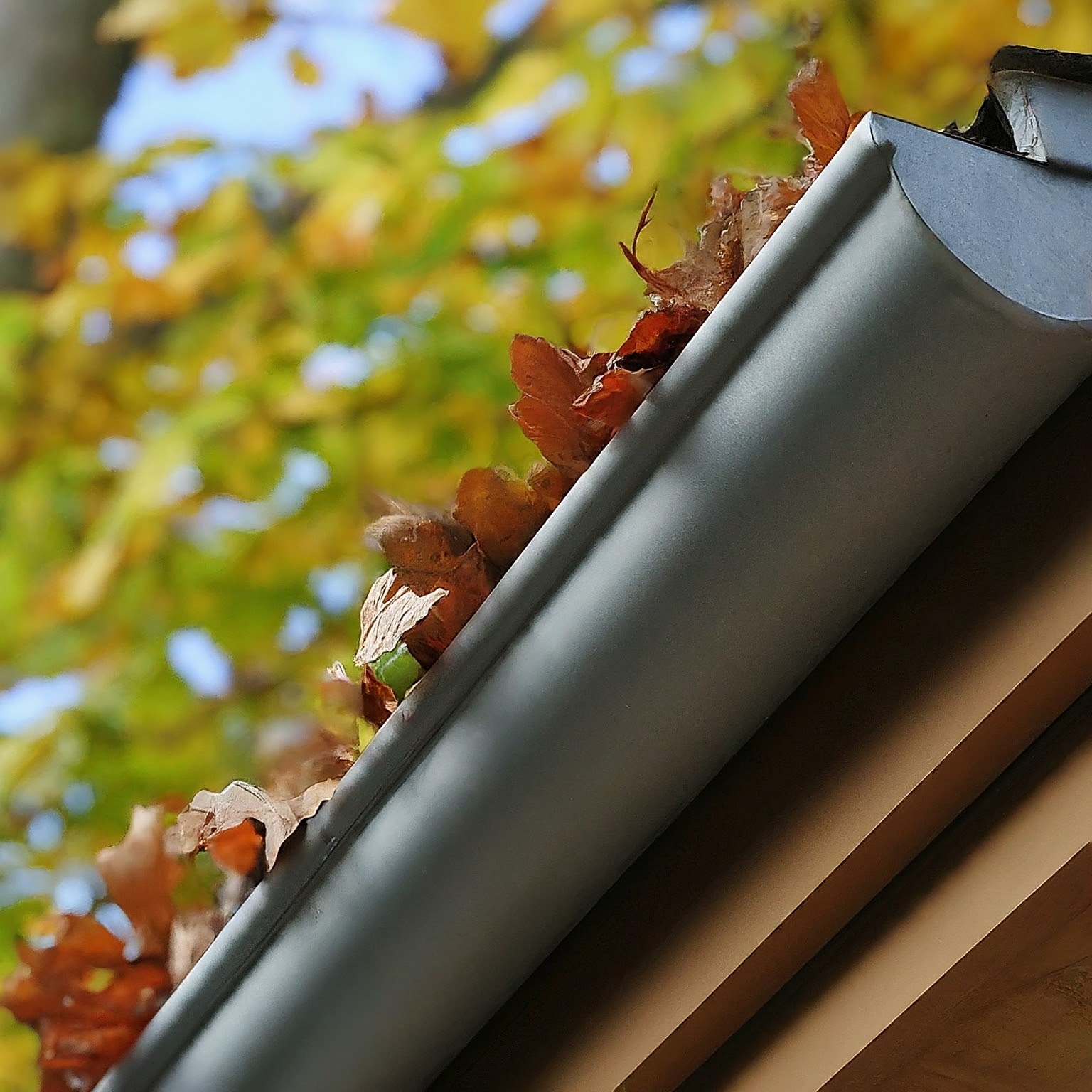 Gutter filled with leaves. Image by Gemini