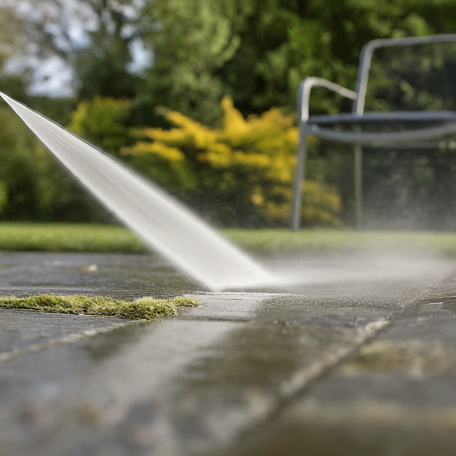 Patio with moss. Image by Gemini